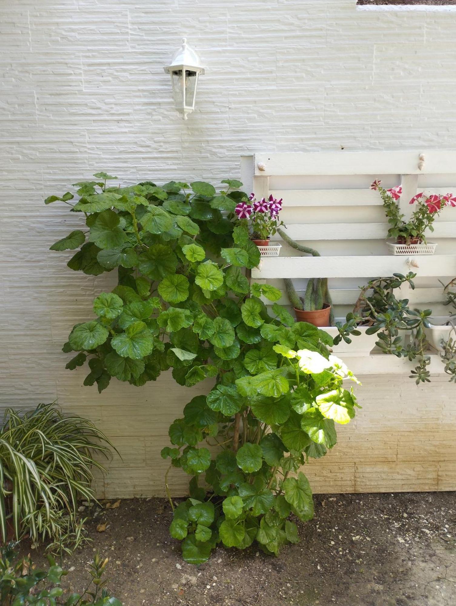 Casa Vacanze Nonna Lina - Trapani Exteriör bild